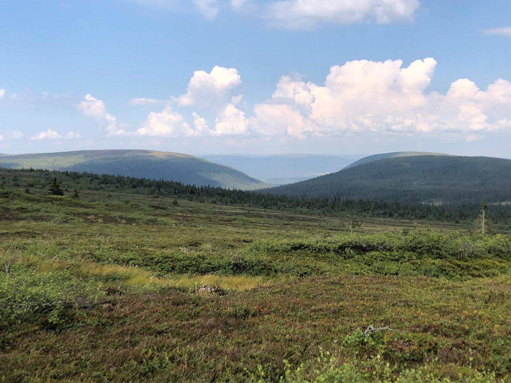 Mountain Lodge Стётен Экстерьер фото