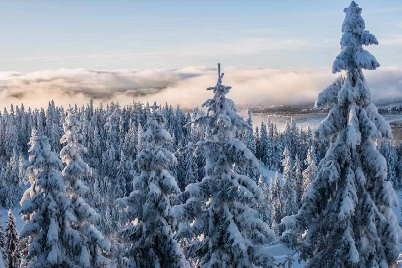 Mountain Lodge Стётен Экстерьер фото
